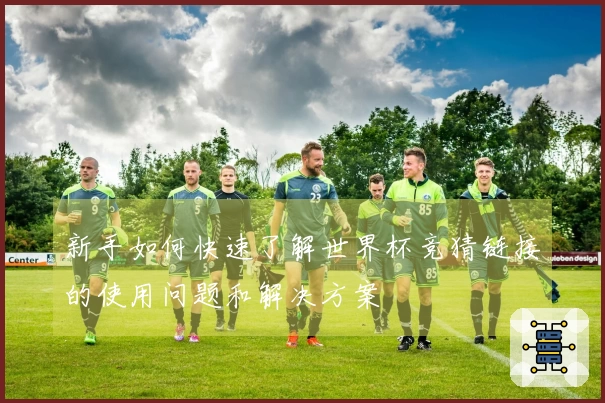 新手如何快速了解世界杯竞猜链接的使用问题和解决方案