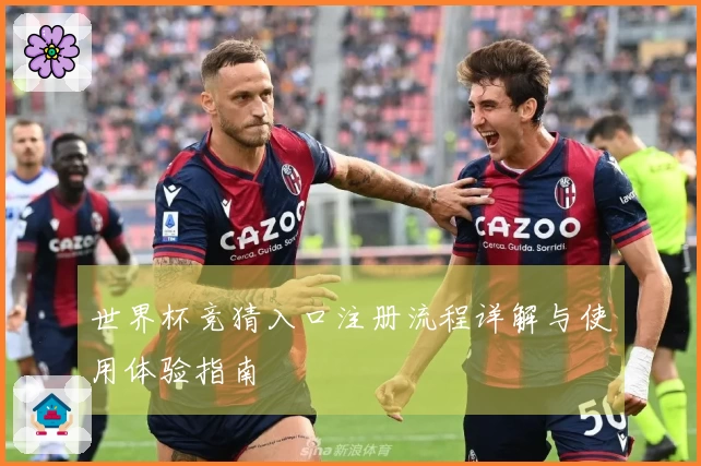 世界杯竞猜入口注册流程详解与使用体验指南