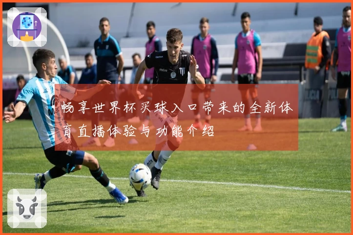 畅享世界杯买球入口带来的全新体育直播体验与功能介绍