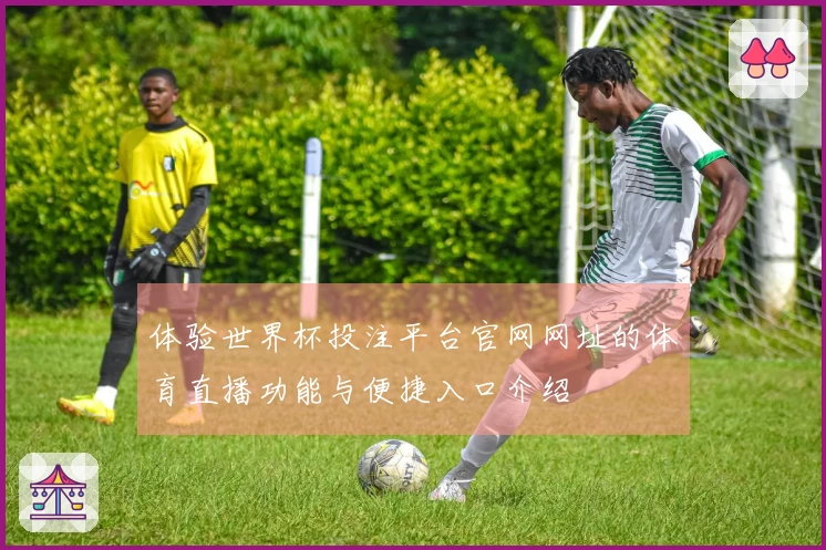 体验世界杯投注平台官网网址的体育直播功能与便捷入口介绍