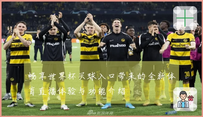 畅享世界杯买球入口带来的全新体育直播体验与功能介绍