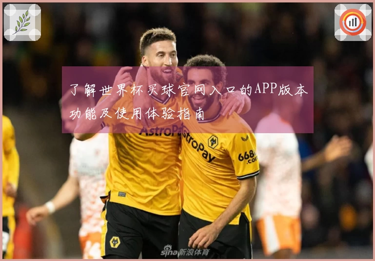 了解世界杯买球官网入口的APP版本功能及使用体验指南